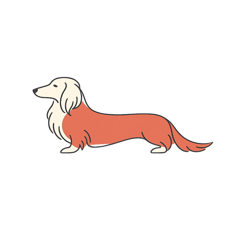 Dachshund